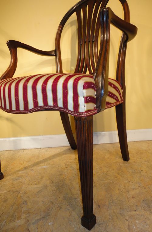 SET OF 8 GEORGIAN STYLE MAHOGANY HOOPBACK DINING CHAIRS C1900 - ADDITIONAL PHOTO 10