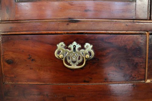 AN 18TH CENTURY GEORGIAN IRISH YEW CORNER CUPBOARD - ADDITIONAL PHOTO 9