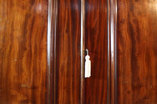 WILLIAM IV MAHOGANY FITTED WARDROBE - ADDITIONAL PHOTO 17