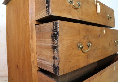 EARLY VICTORIAN ANTIQUE SCOTTISH PINE ESTATE CHEST - ADDITIONAL PHOTO 20