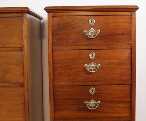 PAIR OF SCOTTISH LATE VICTORIAN MAHOGANY COLLECTORS CHESTS - ADDITIONAL PHOTO 6