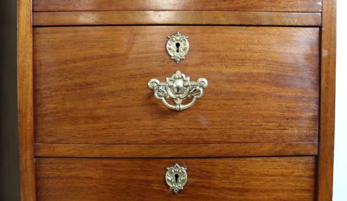 PAIR OF SCOTTISH LATE VICTORIAN MAHOGANY COLLECTORS CHESTS - ADDITIONAL PHOTO 8