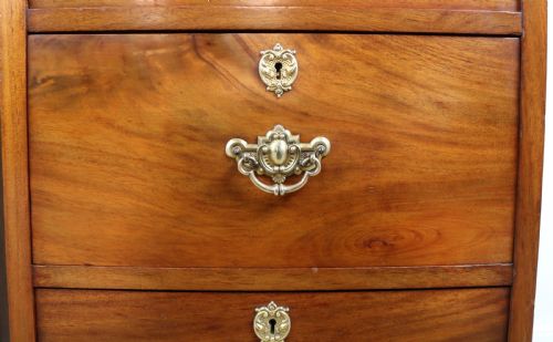 PAIR OF SCOTTISH LATE VICTORIAN MAHOGANY COLLECTORS CHESTS - ADDITIONAL PHOTO 11