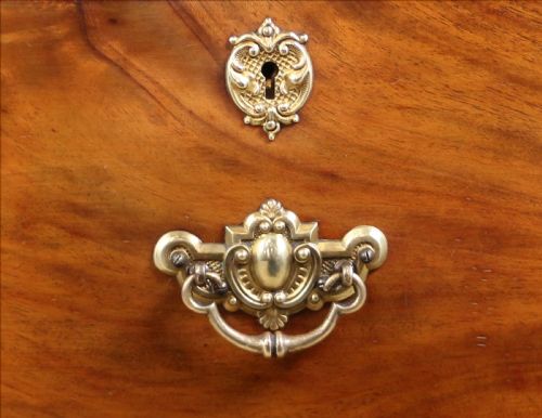 PAIR OF SCOTTISH LATE VICTORIAN MAHOGANY COLLECTORS CHESTS - ADDITIONAL PHOTO 12