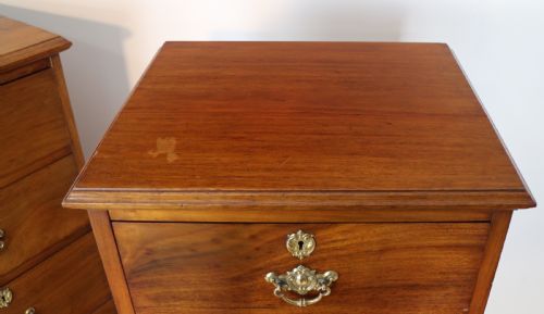 PAIR OF SCOTTISH LATE VICTORIAN MAHOGANY COLLECTORS CHESTS - ADDITIONAL PHOTO 13