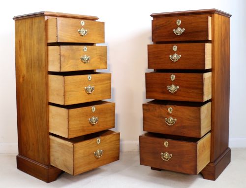 PAIR OF SCOTTISH LATE VICTORIAN MAHOGANY COLLECTORS CHESTS - ADDITIONAL PHOTO 17