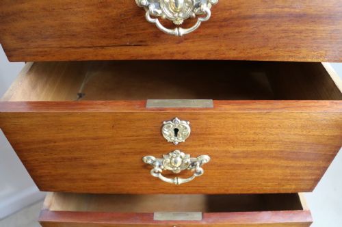 PAIR OF SCOTTISH LATE VICTORIAN MAHOGANY COLLECTORS CHESTS - ADDITIONAL PHOTO 20