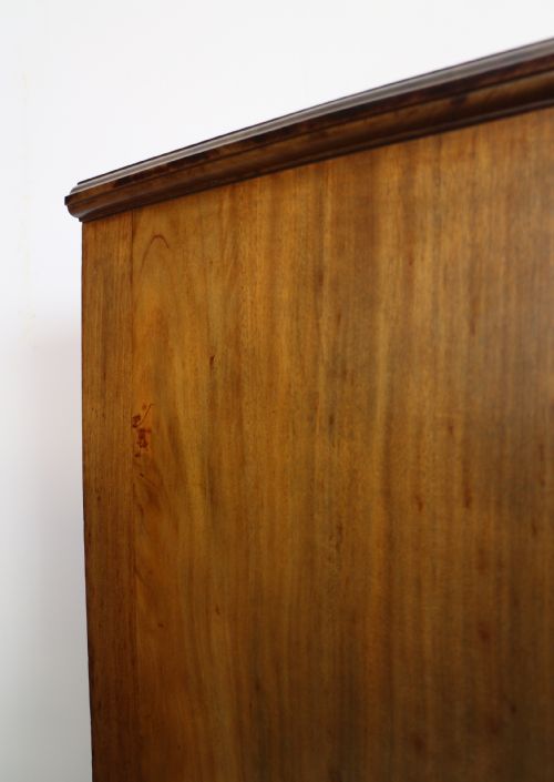 PAIR OF SCOTTISH LATE VICTORIAN MAHOGANY COLLECTORS CHESTS - ADDITIONAL PHOTO 24