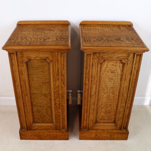 PAIR OF SCOTTISH WILLIAM IV FIGURED ELM BEDSIDE CABINETS C1830 - ADDITIONAL PHOTO 2