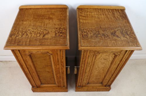 PAIR OF SCOTTISH WILLIAM IV FIGURED ELM BEDSIDE CABINETS C1830 - ADDITIONAL PHOTO 3