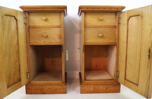 PAIR OF SCOTTISH WILLIAM IV FIGURED ELM BEDSIDE CABINETS C1830 - ADDITIONAL PHOTO 10