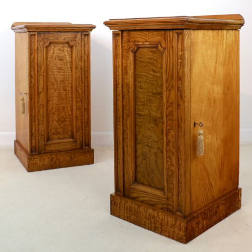 PAIR OF SCOTTISH WILLIAM IV FIGURED ELM BEDSIDE CABINETS C1830 - ADDITIONAL PHOTO 15