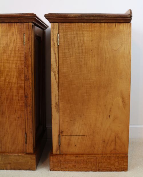 PAIR OF SCOTTISH WILLIAM IV FIGURED ELM BEDSIDE CABINETS C1830 - ADDITIONAL PHOTO 16