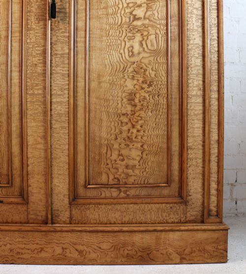 SCOTTISH WILLIAM IV FIGURED ELM TWO DOOR FITTED WARDROBE C1830 - ADDITIONAL PHOTO 7