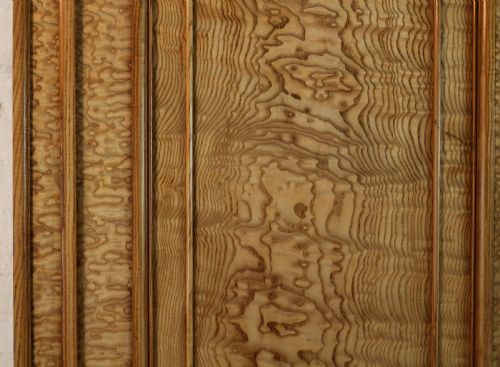 SCOTTISH WILLIAM IV FIGURED ELM TWO DOOR FITTED WARDROBE C1830 - ADDITIONAL PHOTO 12