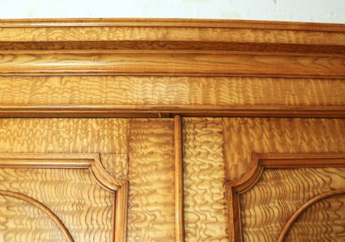 SCOTTISH WILLIAM IV FIGURED ELM TWO DOOR FITTED WARDROBE C1830 - ADDITIONAL PHOTO 13