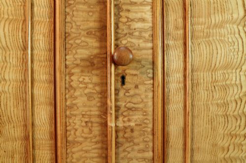 SCOTTISH WILLIAM IV FIGURED ELM TWO DOOR FITTED WARDROBE C1830 - ADDITIONAL PHOTO 25