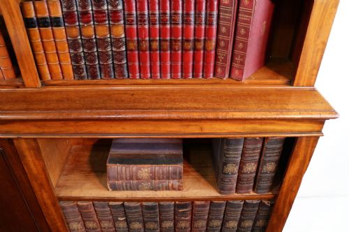 WILLIAM IV MAHOGANY OPEN LIBRARY BOOKCASE - ADDITIONAL PHOTO 13