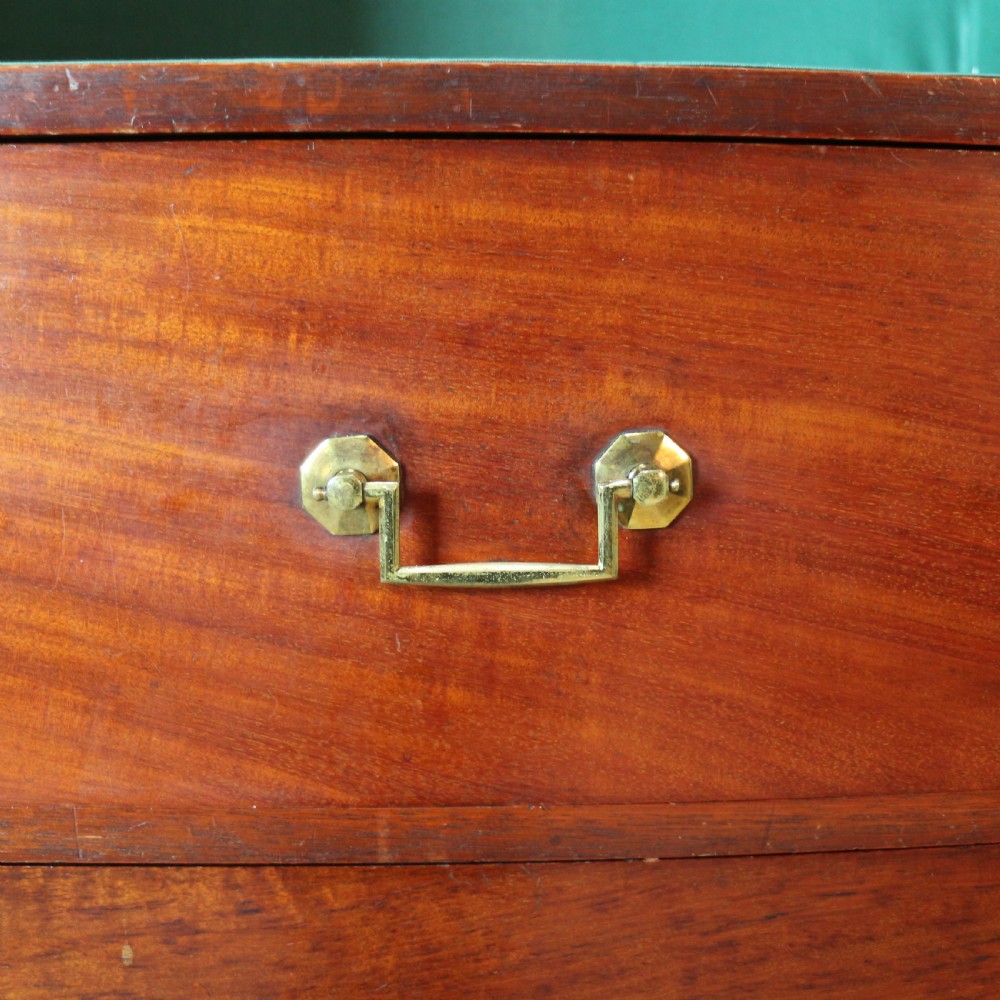 William IV Mahogany Fitted Wardrobe View XXIII