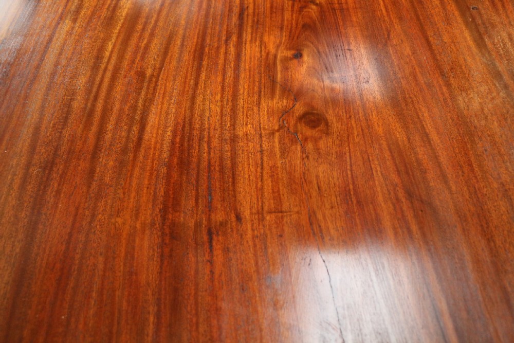 An extended Victorian Cuban mahogany dining table with rounded ends, turned legs, and brass castors. View XXXI