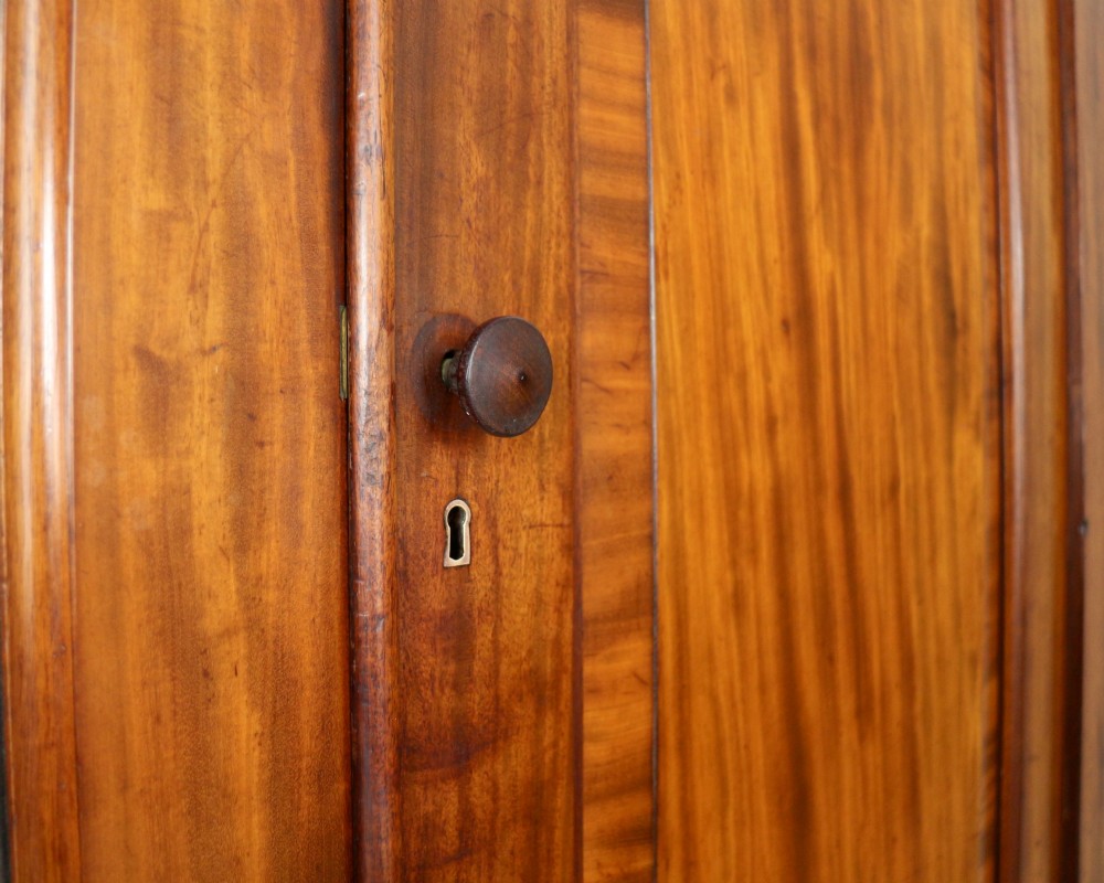 William IV Mahogany Three Door Fitted Wardrobe, c.1830 View XVII