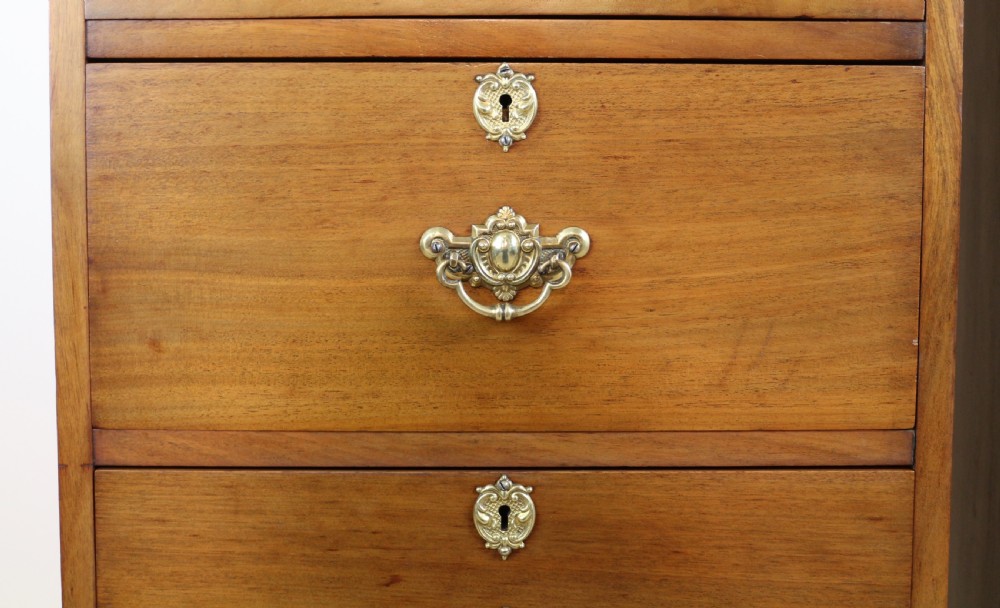 A pair of tall Scottish Late Victorian mahogany collectors chests with five drawers each, featuring brass drop handles and escutcheons. View XII