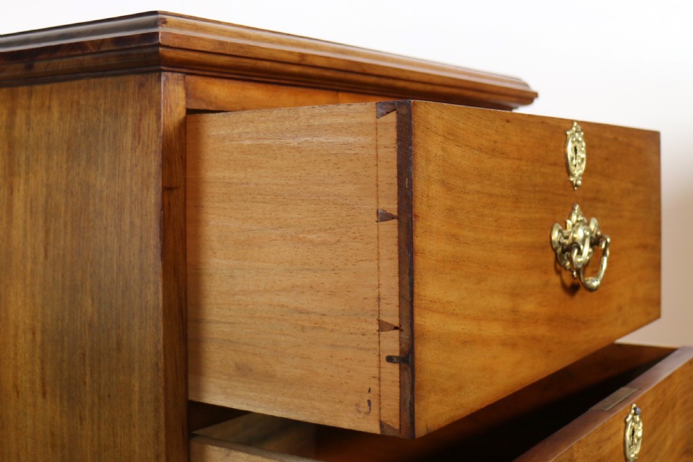 A pair of tall Scottish Late Victorian mahogany collectors chests with five drawers each, featuring brass drop handles and escutcheons. View XVIII