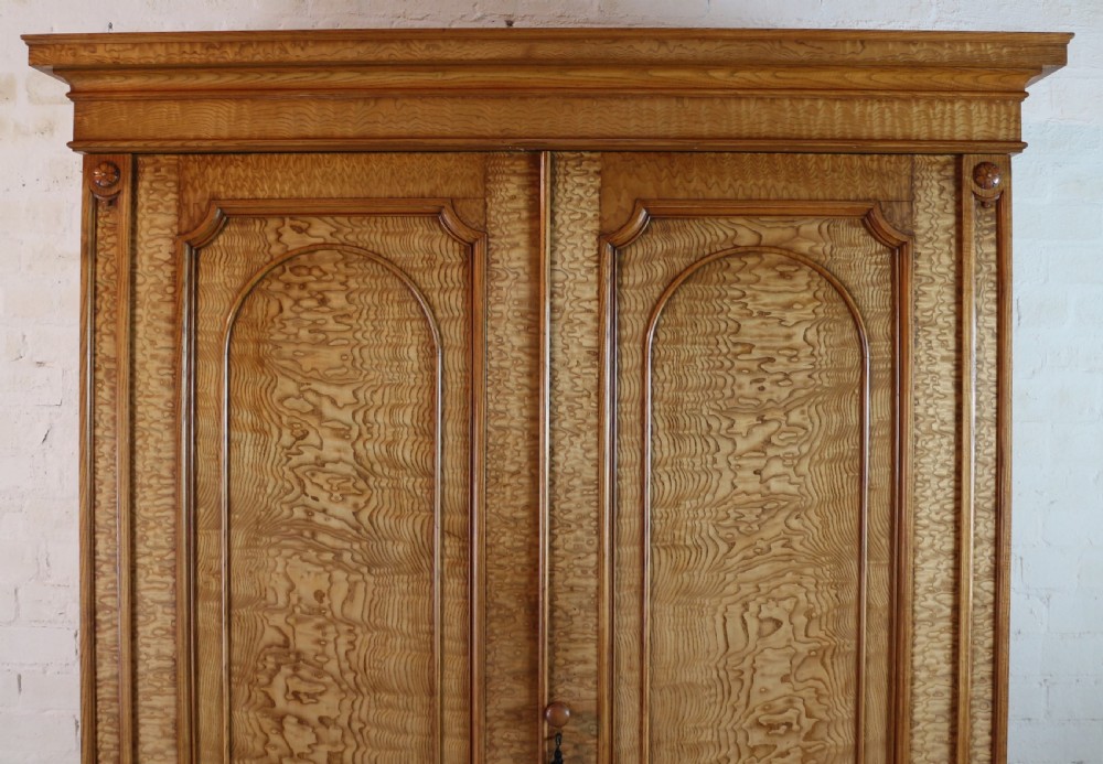 Scottish William IV Figured Elm Two Door Fitted Wardrobe, c.1830 View IV