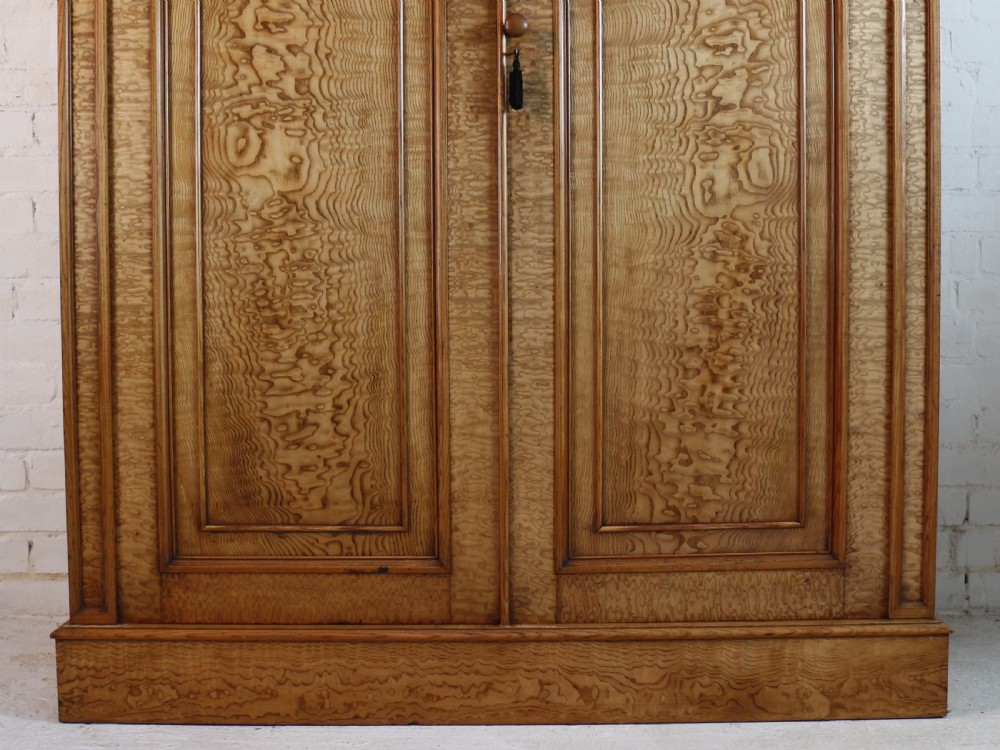 Scottish William IV Figured Elm Two Door Fitted Wardrobe, c.1830 View VI