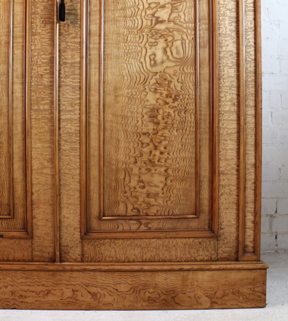 Scottish William IV Figured Elm Two Door Fitted Wardrobe, c.1830 View VIII