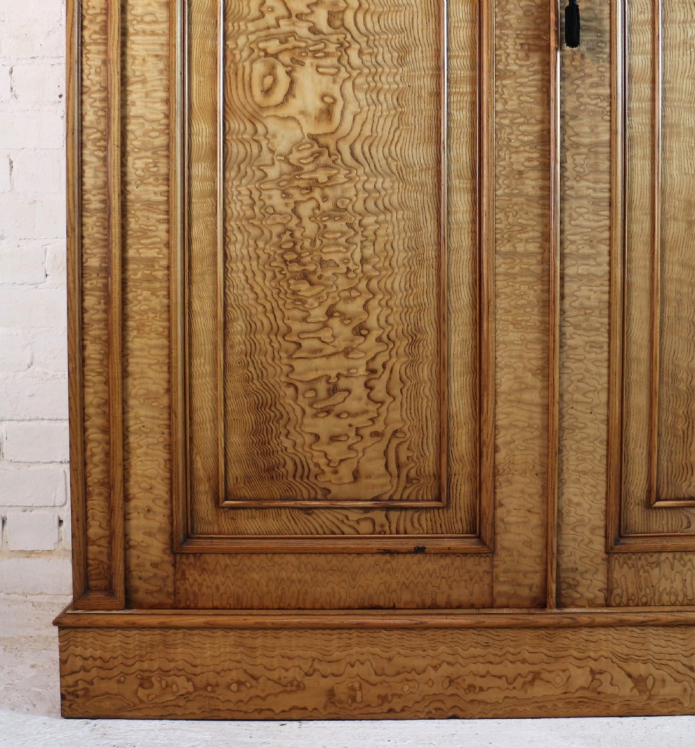 Scottish William IV Figured Elm Two Door Fitted Wardrobe, c.1830 View IX