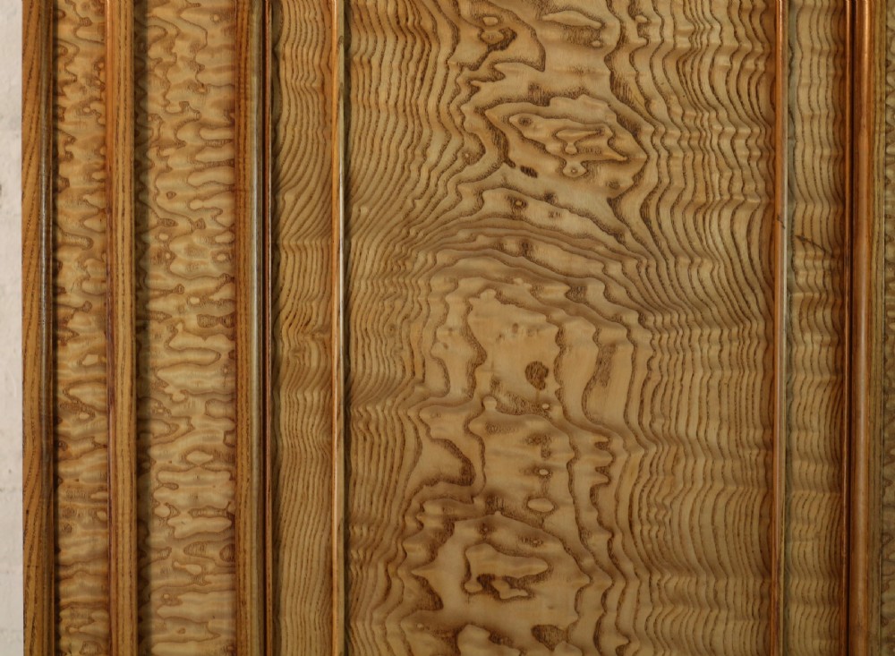 Scottish William IV Figured Elm Two Door Fitted Wardrobe, c.1830 View XIII