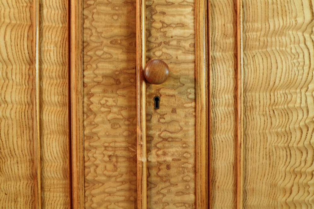 Scottish William IV Figured Elm Two Door Fitted Wardrobe, c.1830 View XXVI