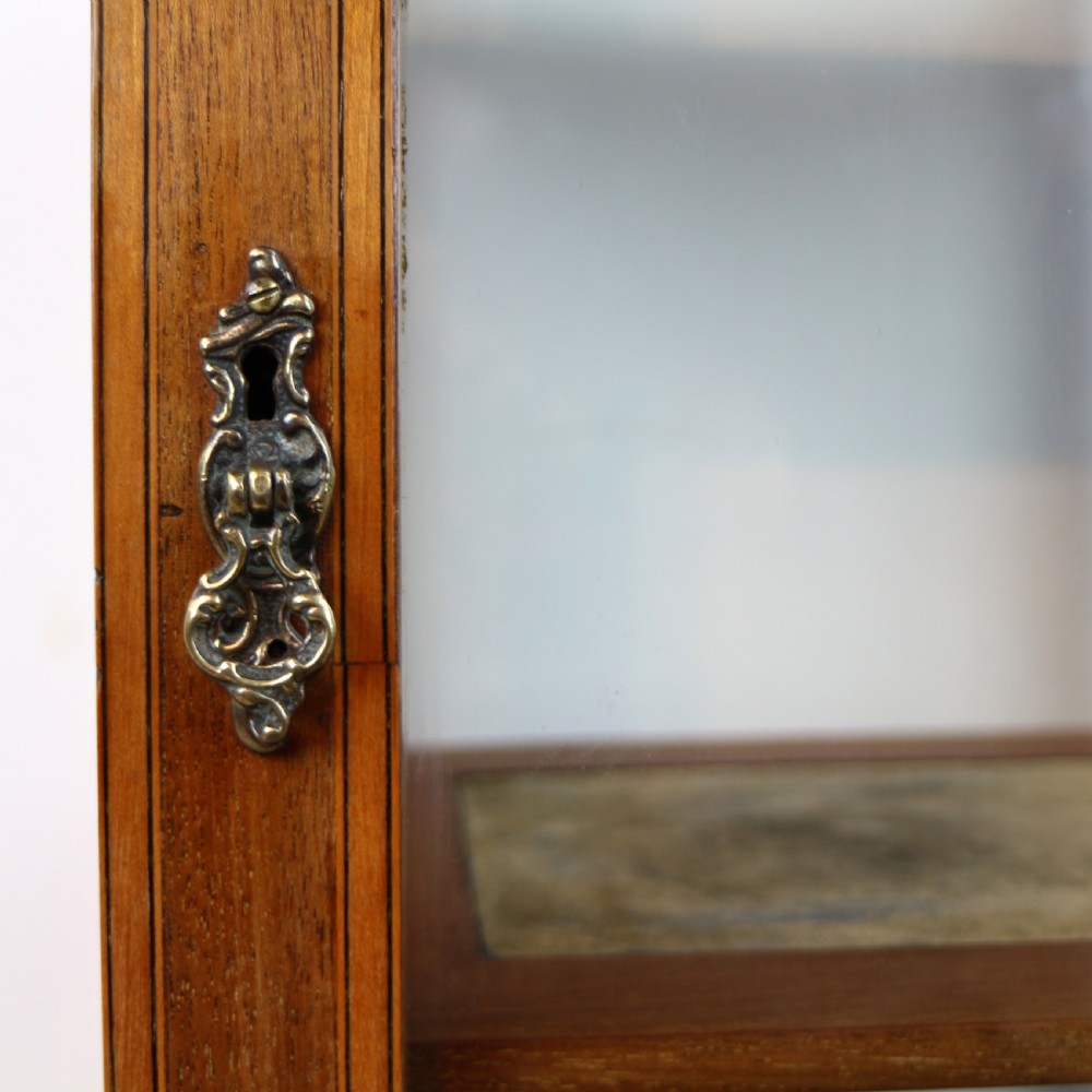 A tall Edwardian mahogany glazed bijouterie cabinet featuring glass panels on all sides, two interior shelves, square tapered legs, and satinwood crossbanding. View XI