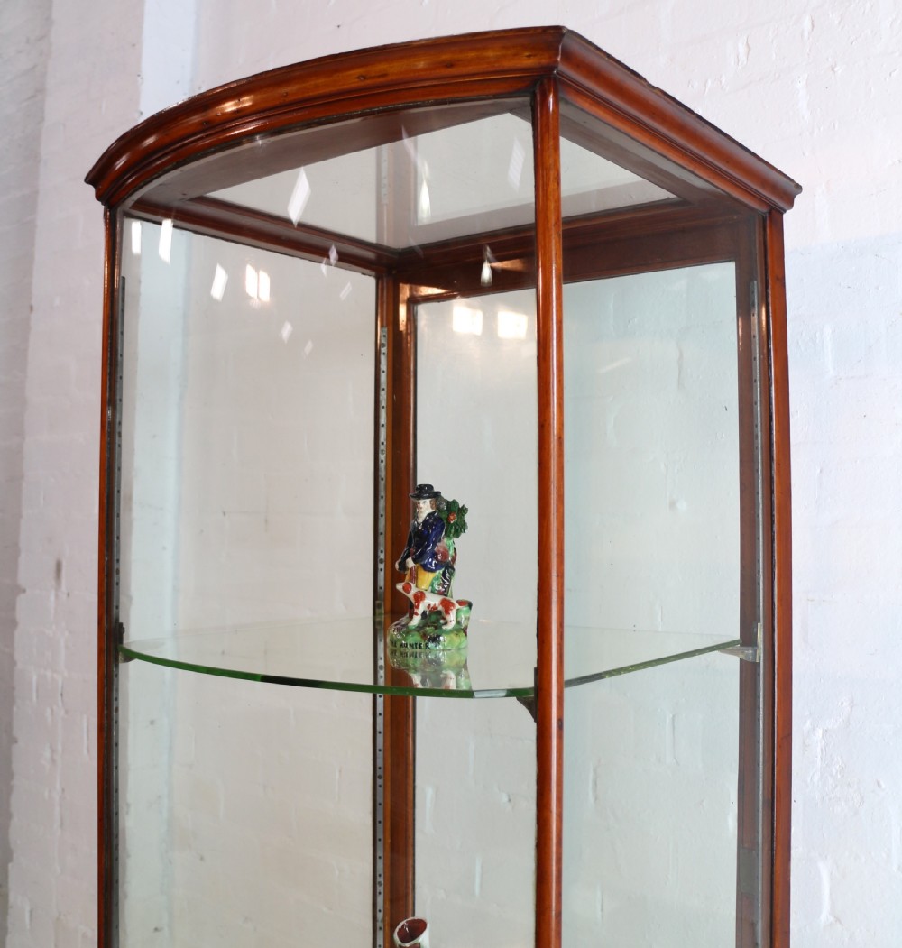 Victorian Mahogany Bowfront Shop Display Cabinet View VIII