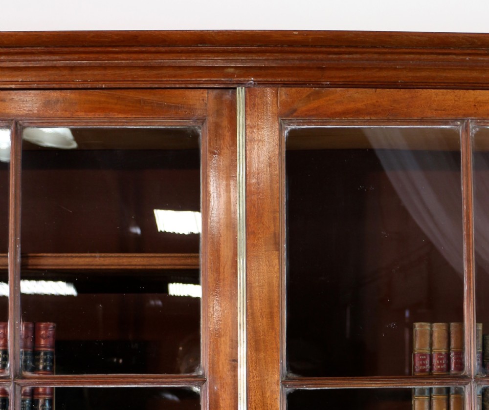 Regency Mahogany Bookcase Cabinet View II