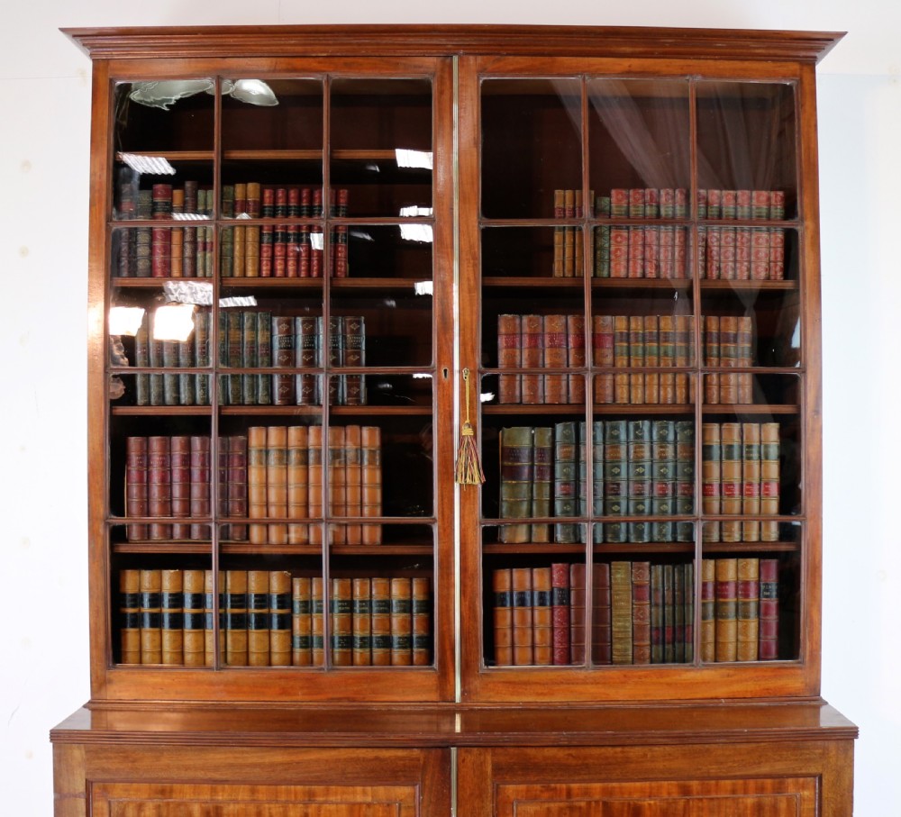 Regency Mahogany Bookcase Cabinet View V