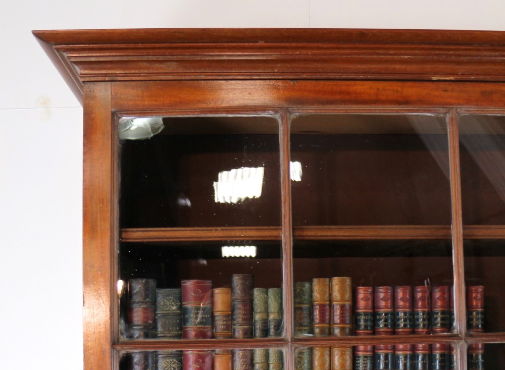 Regency Mahogany Bookcase Cabinet View VI
