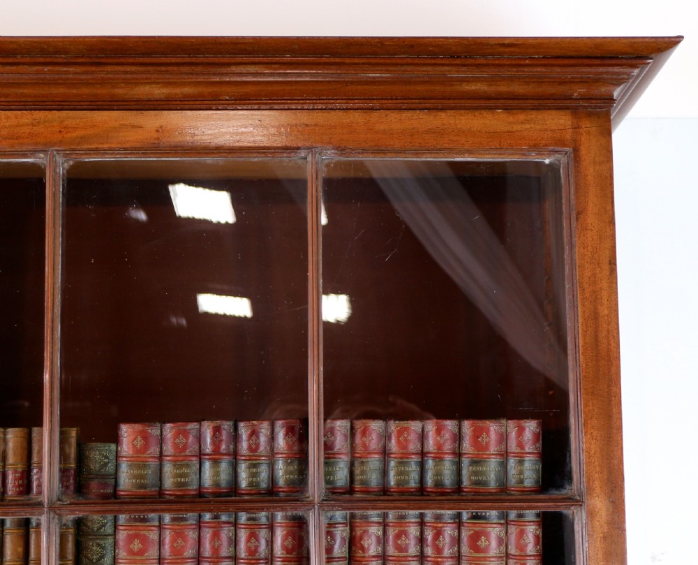 Regency Mahogany Bookcase Cabinet View VII