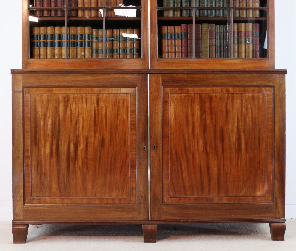 Regency Mahogany Bookcase Cabinet View VIII