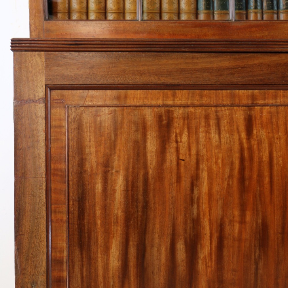 Regency Mahogany Bookcase Cabinet View X