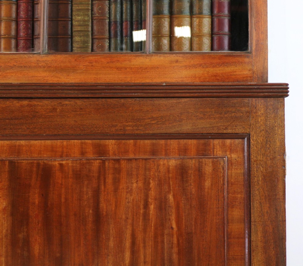 Regency Mahogany Bookcase Cabinet View XII