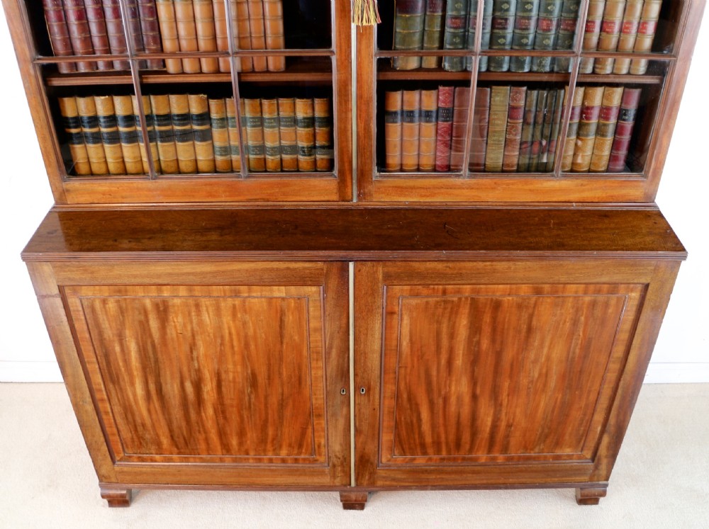Regency Mahogany Bookcase Cabinet View XV