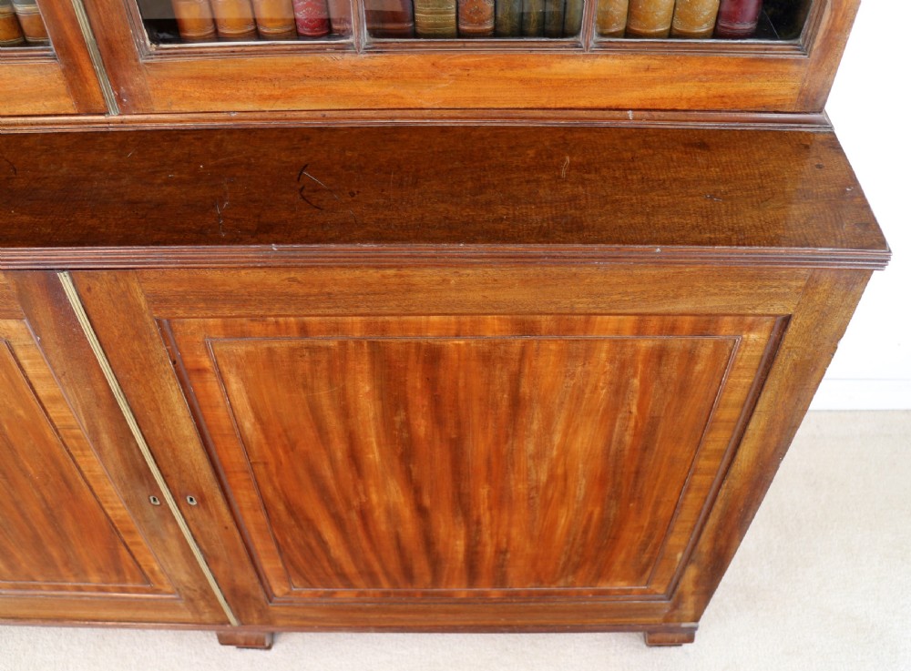 Regency Mahogany Bookcase Cabinet View XVIII