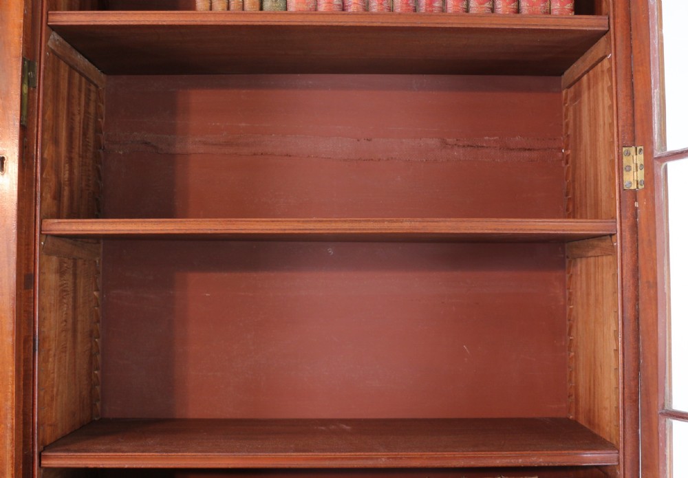 Regency Mahogany Bookcase Cabinet View XIX