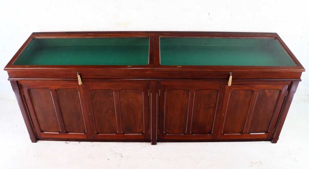 Victorian Mahogany Museum Specimen or Collectors Cabinet View VII