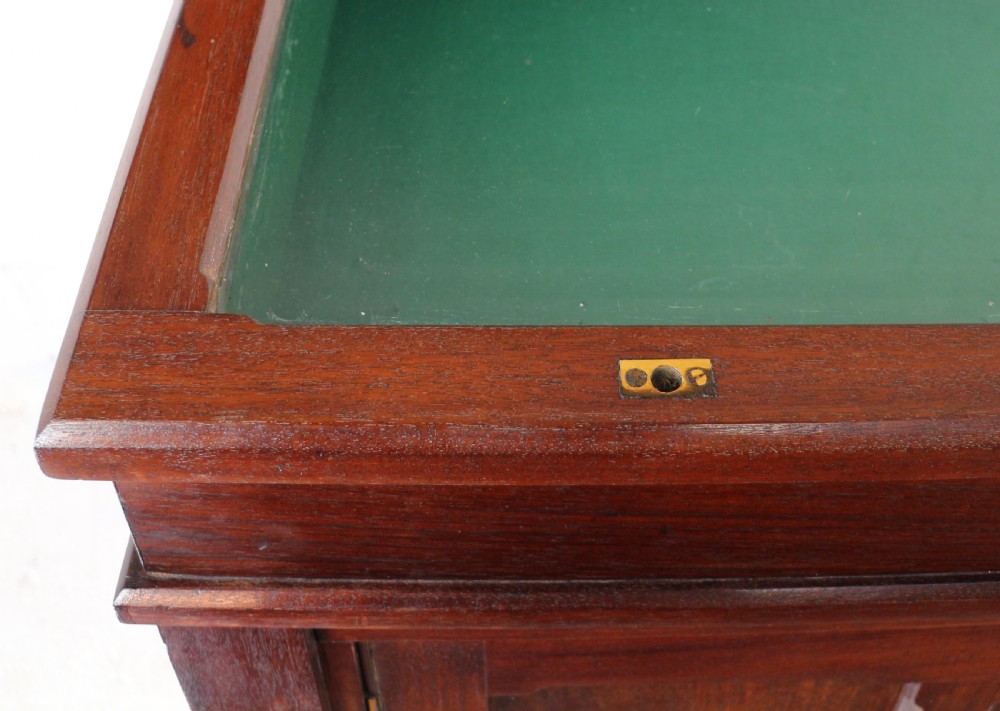 Victorian Mahogany Museum Specimen or Collectors Cabinet View VIII