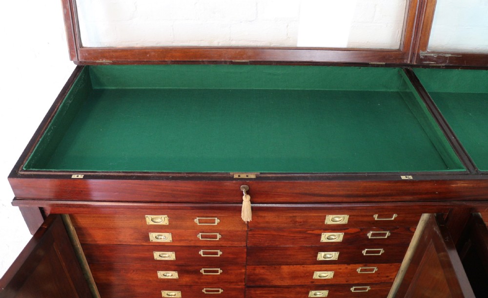 Victorian Mahogany Museum Specimen or Collectors Cabinet View XXII
