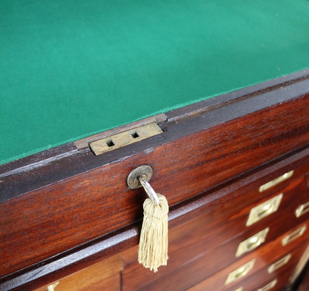 Victorian Mahogany Museum Specimen or Collectors Cabinet View XXIII