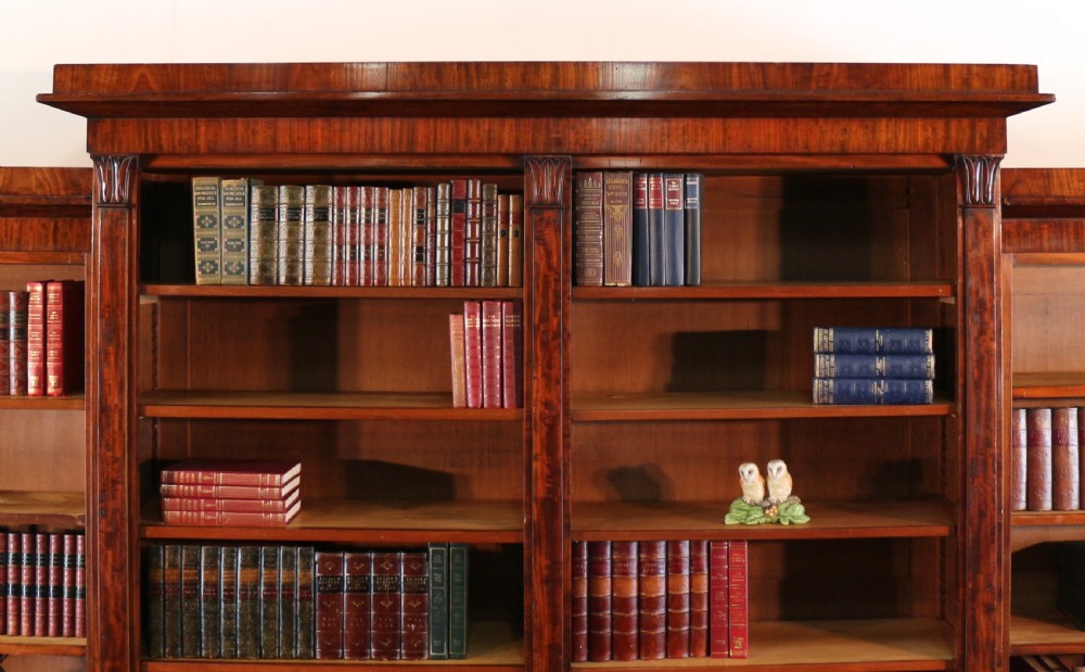 William IV Mahogany Breakfront Library Bookcase View IV